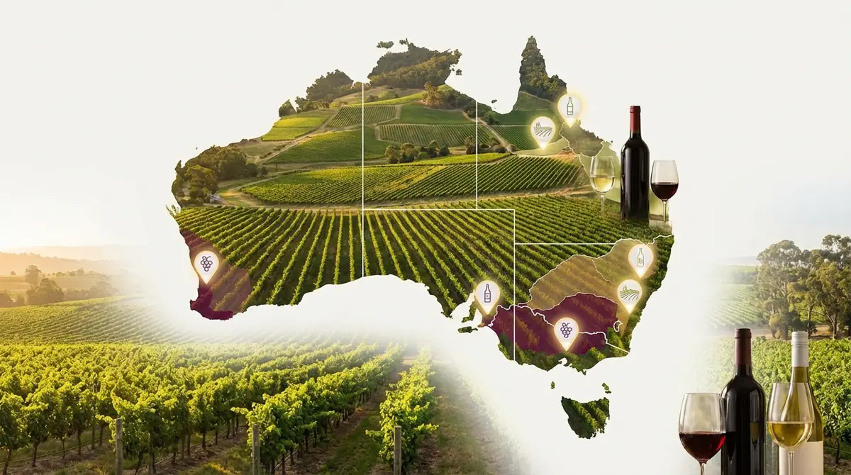 オーストラリアワインの主要産地6選【地図付き】